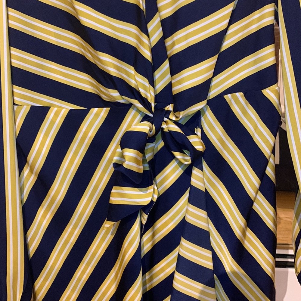 Express Blue and Yellow Dress - Picture 4 of 5